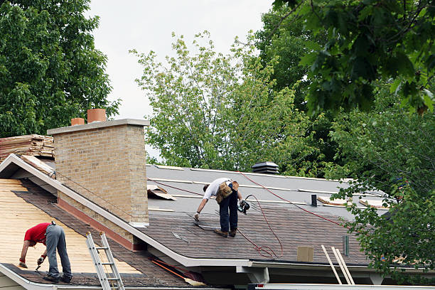 Best Flat Roof Repair Services  in Thompsons Station, TN