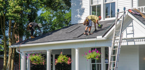 Best Gutter Installation and Roofing  in Thompsons Station, TN